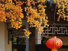 -郑和公园