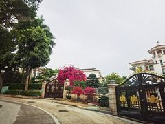 -观澜湖旅游度假区