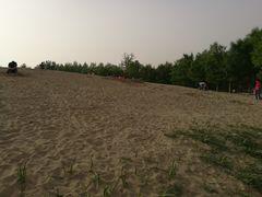-东郊湿地公园