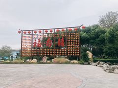 -合肥滨湖国家森林公园