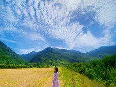 -秦岭风景区