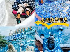 -长鹿旅游休博园