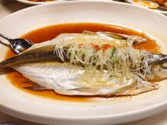 传统清蒸大白鱼-淮扬府(安定门店)