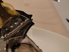 -Oyster Talks 四度蚝法餐厅