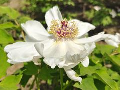 -江南大学(蠡湖校区)