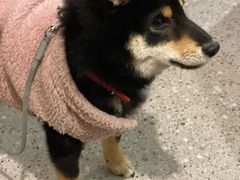 -00后的烤串·扬州地标烧烤(大运河博物馆店)