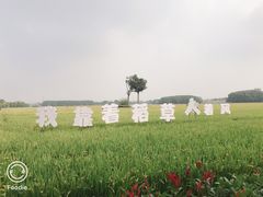 -嘉北郊野公园