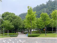 -顺峰山公园