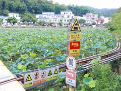 -红山村