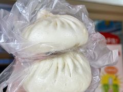 -和善园手工大包子(常德路店)