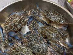 -丰尔粥食·粥底火锅·桑拿鸡(大良总店)