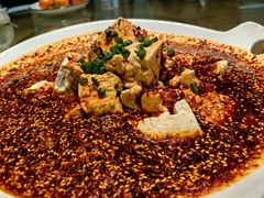 油泼豆腐-十里香漫蒲城菜(华清佳苑店)
