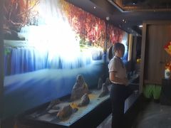 -大桶大足浴(宝山店)