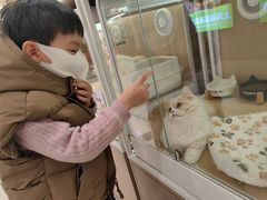 -汤姆熊欢乐世界(莘庄龙之梦店)