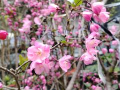 -贵阳市花溪国家城市湿地公园
