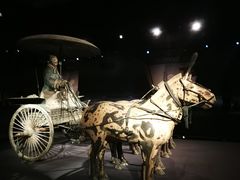 -秦始皇帝陵博物院-丽山园