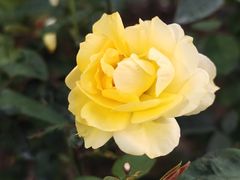 -人民公园(罗湖区)