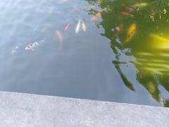 -荆川公园