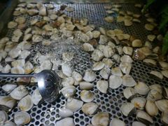 -大漠风烤肉火锅自助餐厅(鹰展店)
