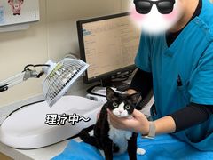 -美联众合爱康动物医院•复杂内科•肿瘤科•牙科•腔镜诊疗中心