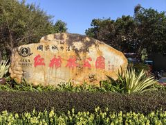 -大亚湾红树林城市湿地公园