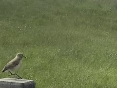 -黄河九曲第一湾