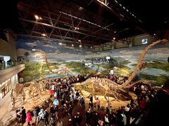 -自贡恐龙博物馆