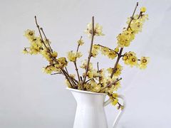 -来伊份(双桂坊店)