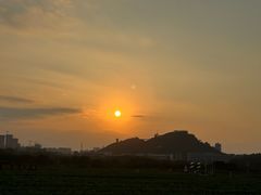 -光明小镇欢乐田园