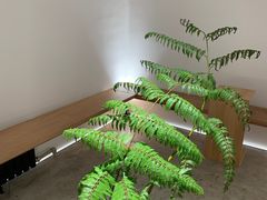 -光作面包Voila Lumiere(中山店)