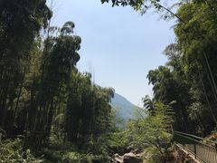 -众神白水涧景区