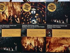 -怀托摩萤火虫洞