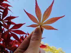 -相门城墙文化休闲景区