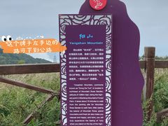 -阳台山自然风景区