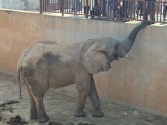 -西霞口神雕山野生动物世界