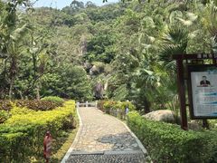 -云洞岩风景区