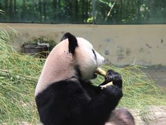-杭州野生动物世界