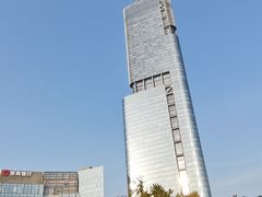 -紫峰大厦