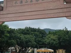 -水濂山森林公园