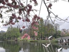 -四海公园(南山区)