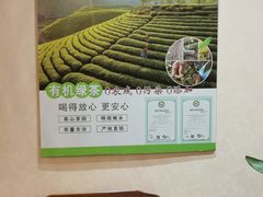 -畅和茶坊·曦瓜中国大红袍