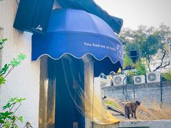 -Sirena海妖日咖夜酒