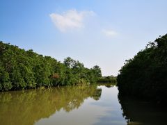 -大湾区中央湿地公园
