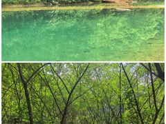 -鹿院坪生态旅游景区