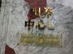 -广东惠东海龟国家级自然保护区