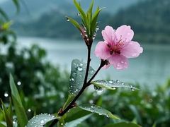 -福田卓悦INTOWN购物中心