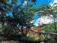 -西双版纳原始森林公园