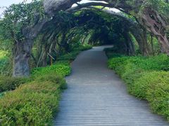 -广西壮族自治区药用植物园