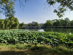 -承德避暑山庄景区