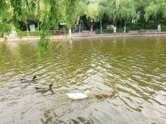 -月牙潭公园